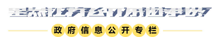 重點任務(wù)公開承諾事項圖標