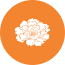 地區(qū)動態(tài)